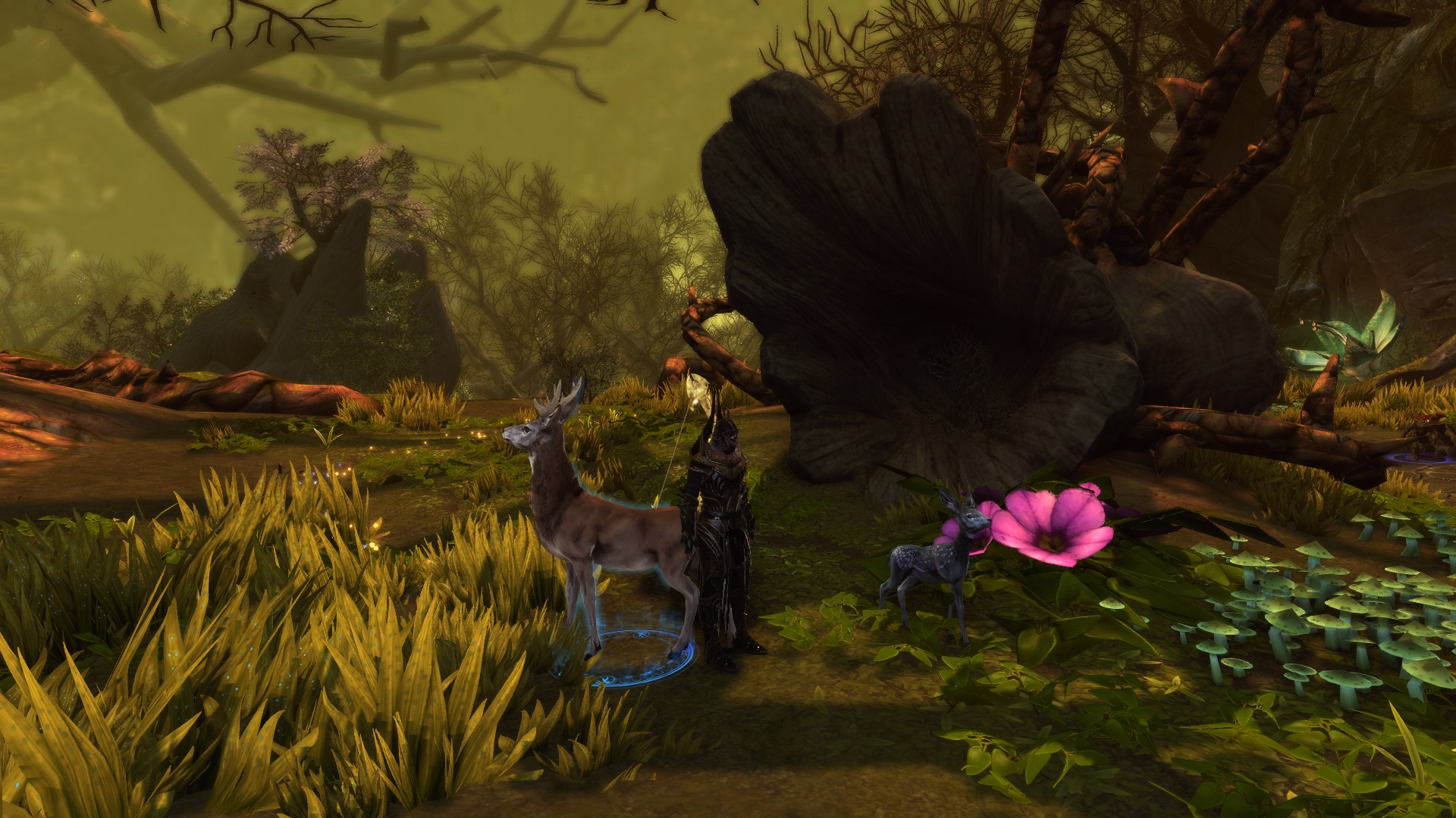 Fury of the Feywild Sharandar Guide on DDM's Realm Neverwinter