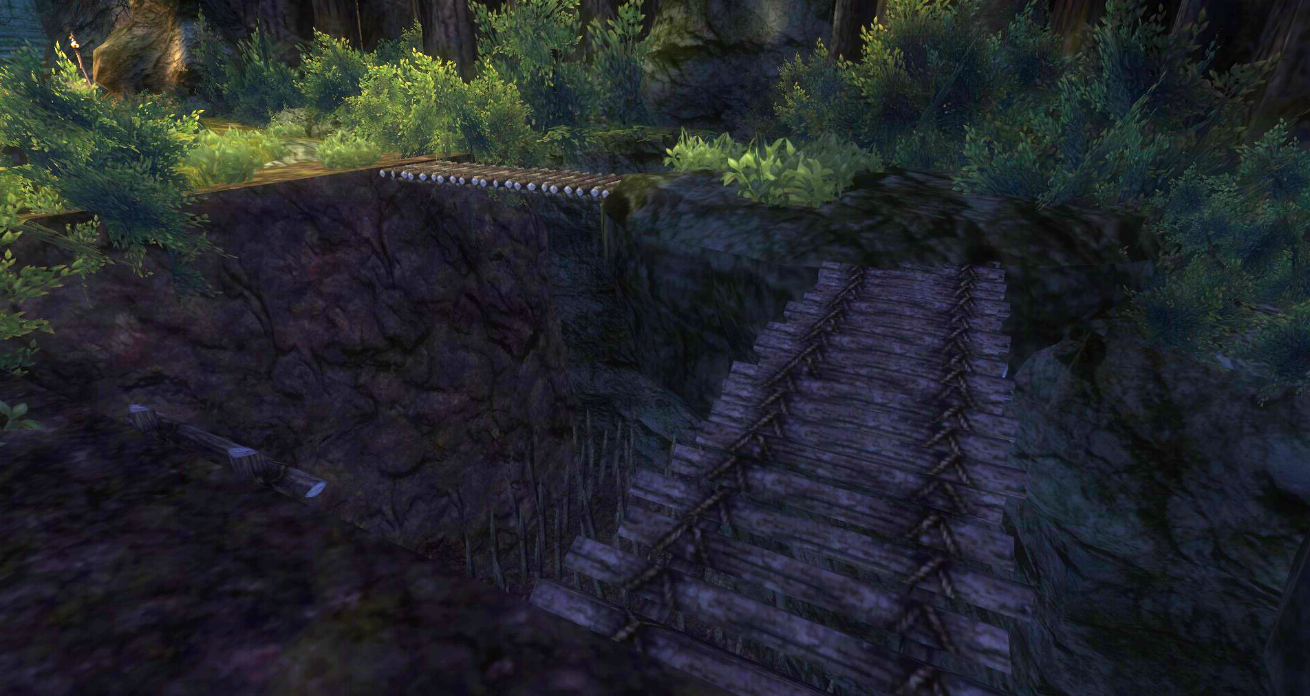 ddmsrealm-ddo-thorn-and-paw-bridge-over-pit