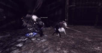 ddo shadow of a doubt secure the docks glitch