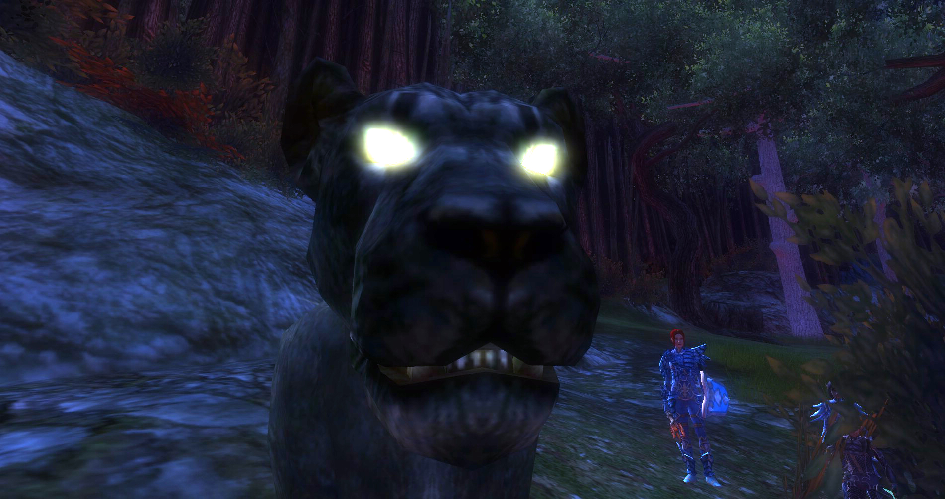 ddmsrealm-ddo-the-kings-forest-meow